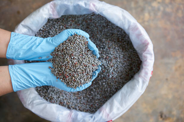 Fertilizer manufacturing facility near Kakinada